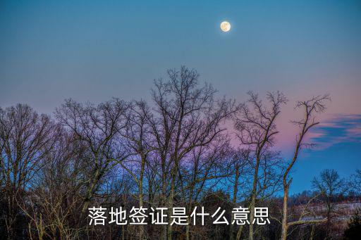 落地簽證，什么叫  落地簽證