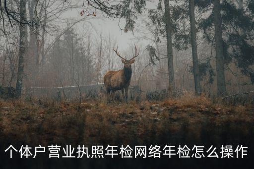 個(gè)體戶營業(yè)執(zhí)照年檢網(wǎng)絡(luò)年檢怎么操作