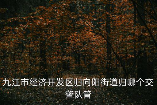 九江經濟技術開發區，九江市經濟開發區歸向陽街道歸哪個交警隊管