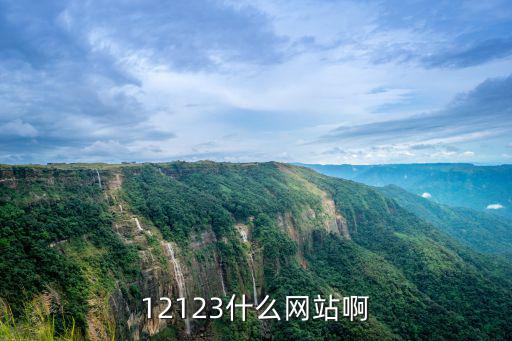 12123交管官網查詢，12123什么網站啊