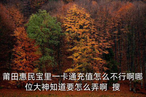 莆田惠民寶里一卡通充值怎么不行啊哪位大神知道要怎么弄啊  搜