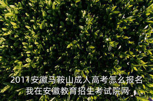 2011安徽馬鞍山成人高考怎么報名 我在安徽教育招生考試院網