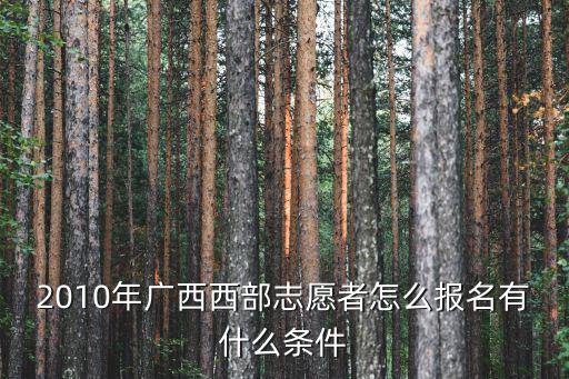 2010年廣西西部志愿者怎么報名有什么條件