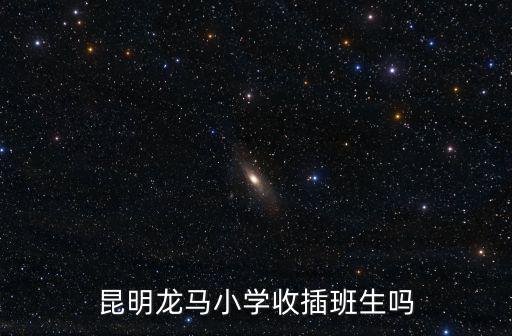 昆明龍馬小學收插班生嗎