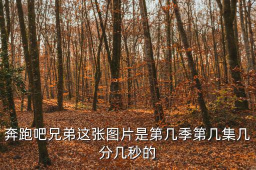 奔跑吧兄弟這張圖片是第幾季第幾集幾分幾秒的