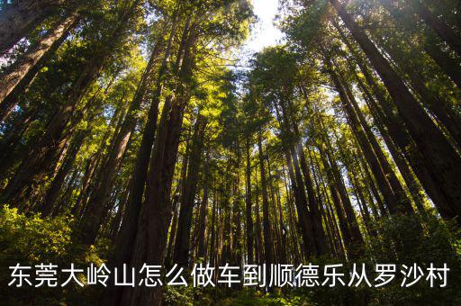 東莞大嶺山怎么做車到順德樂從羅沙村