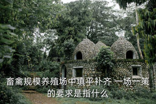 填平補(bǔ)齊，畜禽規(guī)模養(yǎng)殖場(chǎng)中填平補(bǔ)齊 一場(chǎng)一策的要求是指什么