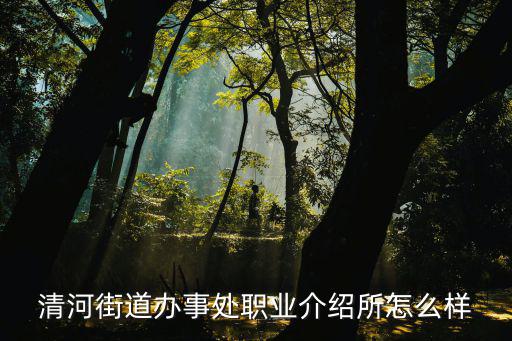 清河街道辦事處職業(yè)介紹所怎么樣