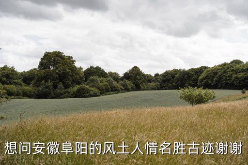 想問安徽阜陽的風土人情名勝古跡謝謝