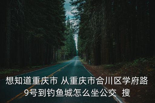 想知道重慶市 從重慶市合川區學府路9號到釣魚城怎么坐公交  搜