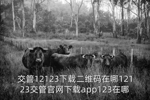 12123交管官網下載app，重慶12123交管官網下載app下載在哪里