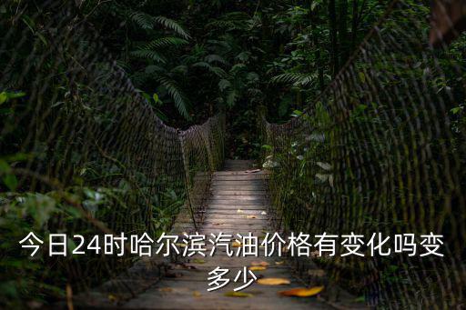 今日24時哈爾濱汽油價格有變化嗎變多少