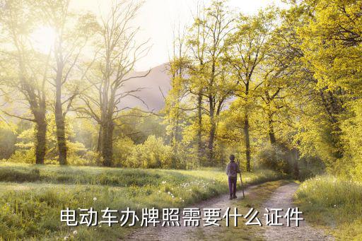 電動車辦牌照需要什么證件