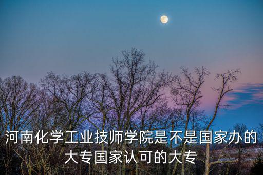 河南化學工業技師學院是不是國家辦的大專國家認可的大專