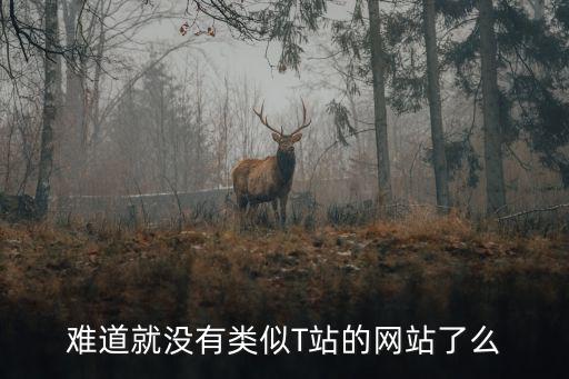 t站，難道就沒有類似T站的網(wǎng)站了么