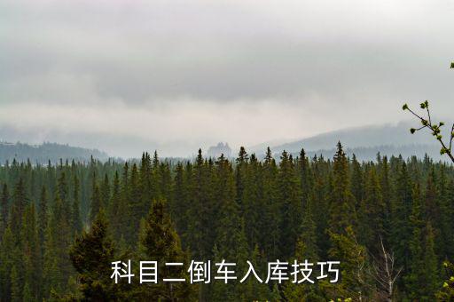 科目二倒車入庫技巧
