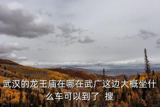 武漢的龍王廟在哪在武廣這邊大概坐什么車可以到了  搜