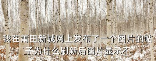 我在莆田新城網上發布了一個圖片的帖子為什么刷新后圖片顯示不