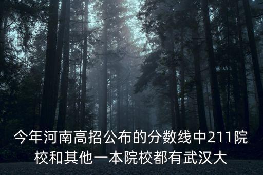 今年河南高招公布的分數線中211院校和其他一本院校都有武漢大