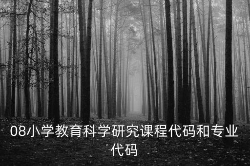 08小學(xué)教育科學(xué)研究課程代碼和專業(yè)代碼