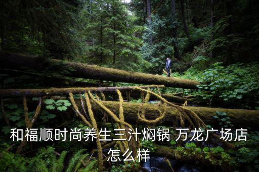 和福順時尚養生三汁燜鍋 萬龍廣場店怎么樣
