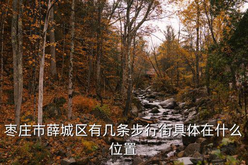 棗莊市薛城區有幾條步行街具體在什么位置