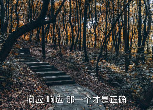 向應 響應 那一個才是正確