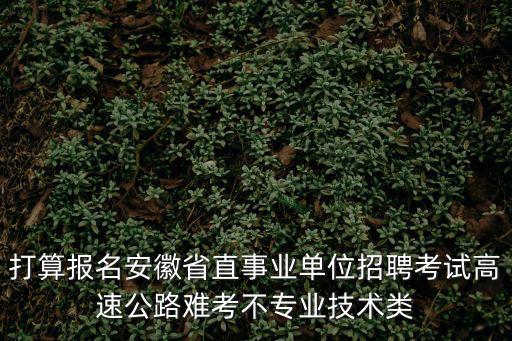 打算報(bào)名安徽省直事業(yè)單位招聘考試高速公路難考不專業(yè)技術(shù)類