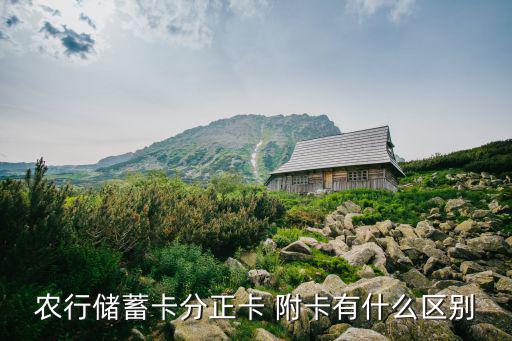 農行儲蓄卡分正卡 附卡有什么區別