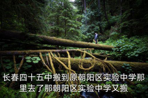 長春四十五中搬到原朝陽區實驗中學那里去了那朝陽區實驗中學又搬