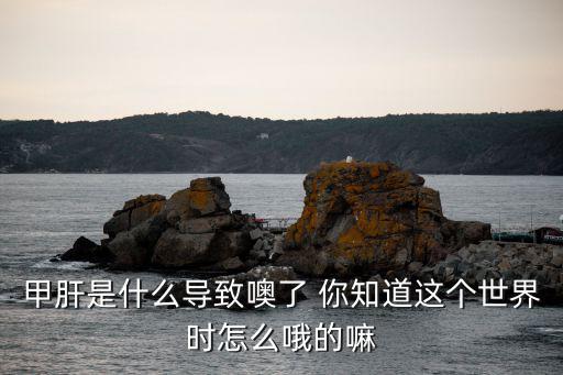 甲肝是怎么引起的，甲肝是什么引起的
