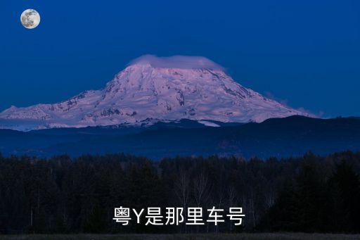 粵y，粵y是哪里的車牌