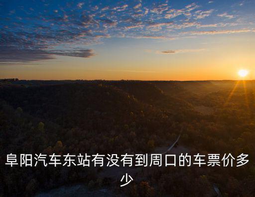 阜陽汽車東站有沒有到周口的車票價多少