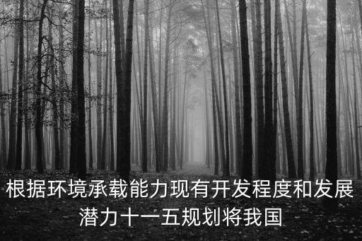 根據環境承載能力現有開發程度和發展潛力十一五規劃將我國