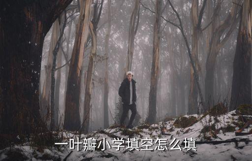 一葉瓣小學填空怎么填