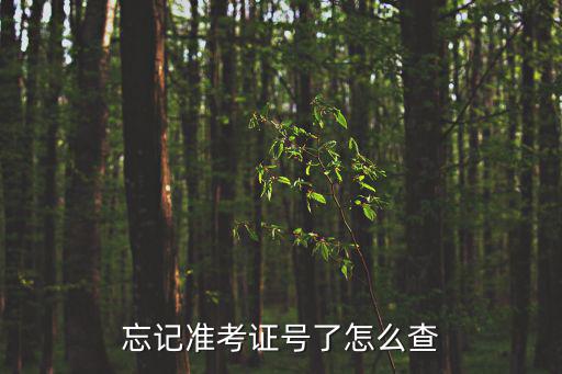 忘記準考證號了怎么查