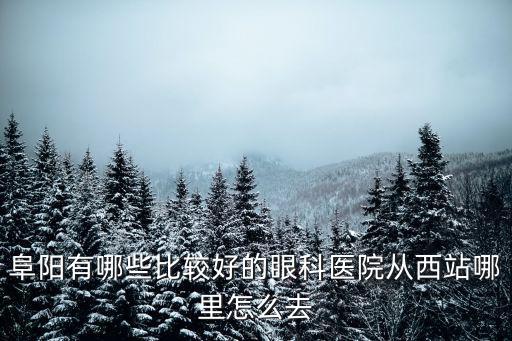 阜陽有哪些比較好的眼科醫院從西站哪里怎么去