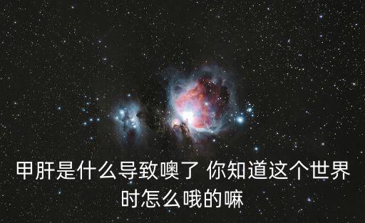 甲肝是什么導致噢了 你知道這個世界時怎么哦的嘛