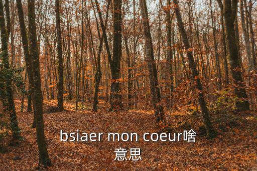 bsiaer mon coeur啥意思