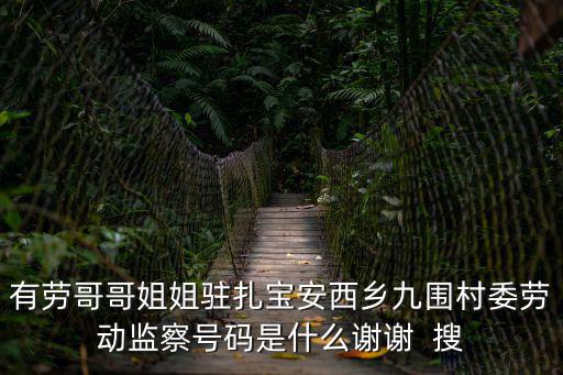 有勞哥哥姐姐駐扎寶安西鄉九圍村委勞動監察號碼是什么謝謝  搜