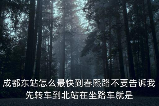 成都東站怎么最快到春熙路不要告訴我先轉(zhuǎn)車到北站在坐路車就是