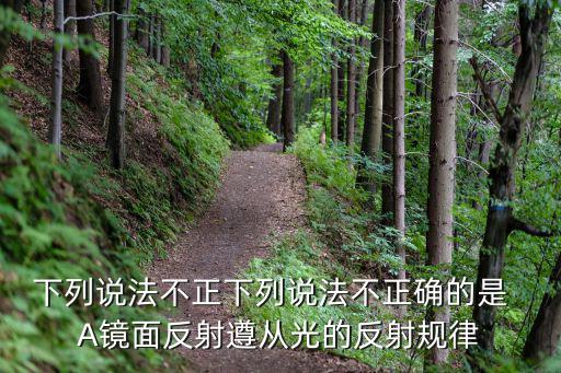 下列說法不正下列說法不正確的是  A鏡面反射遵從光的反射規律