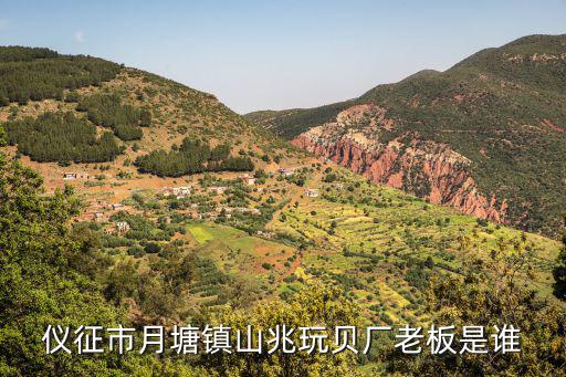 儀征市月塘鎮(zhèn)山兆玩貝廠老板是誰