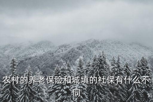 農村的養老保險和城填的社保有什么不同
