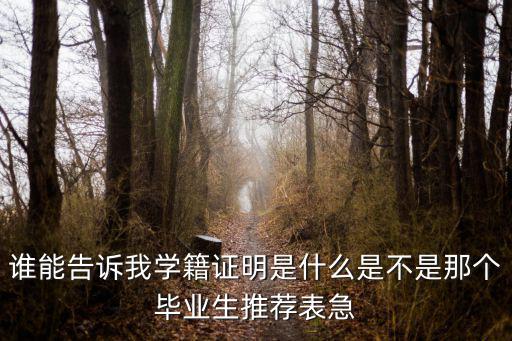 誰能告訴我學籍證明是什么是不是那個畢業生推薦表急
