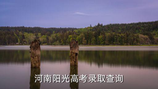 陽光高考網官網登錄入口，登陸到陽光高考怎么進入志愿填報啊