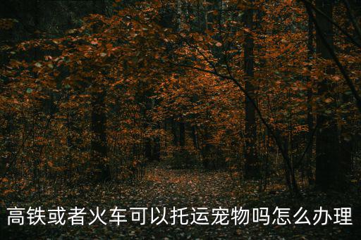 高鐵可以托運寵物嗎，動車可以托運寵物嗎