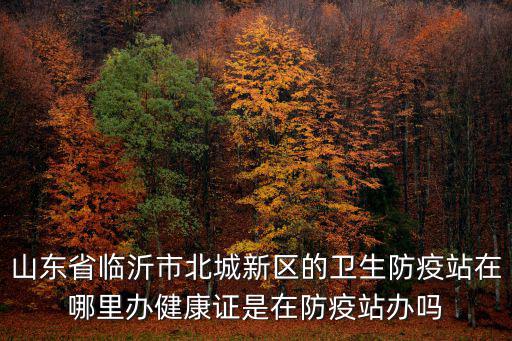 山東省臨沂市北城新區的衛生防疫站在哪里辦健康證是在防疫站辦嗎