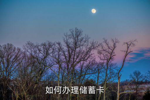 如何辦理，怎樣辦理需要些什么東西在哪辦理