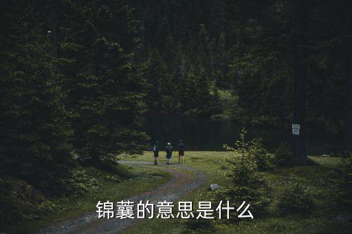 錦蘘的意思是什么